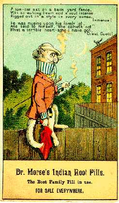 Dr. Morse's Indian Root Pills, Morristown Area Chamber of Commerce, Morristown, New York, The Gateway to the Thousand Islands, On the Ever-Beautiful St. Lawrence River, Summer Playground of Northern New York